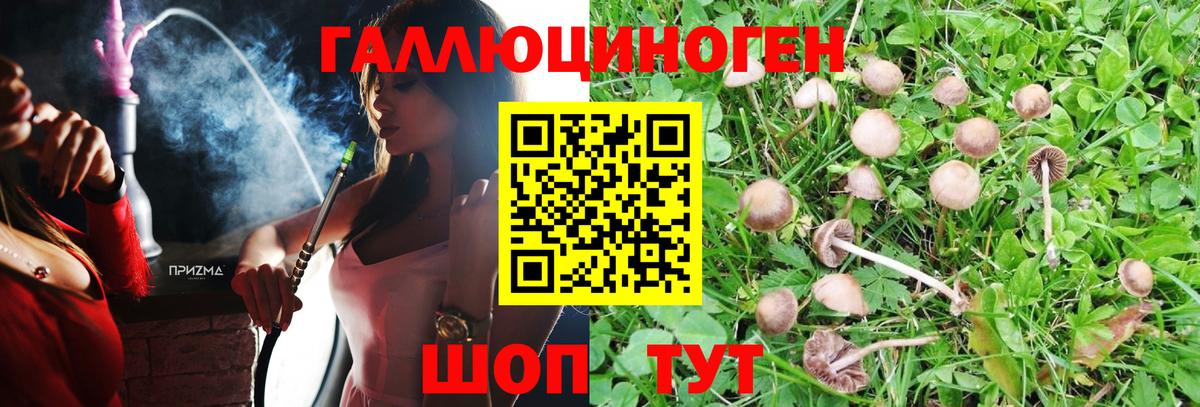 Псилоцибиновые грибы GOLDEN TEACHER Аргун