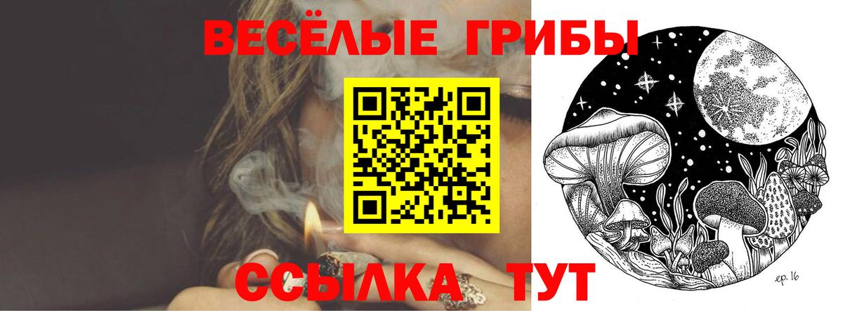 Аргун  Псилоцибиновые грибы ЛСД  Псилоцибиновые грибы Cubensis  Вход с VPN 